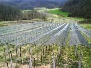 nauja vynuogynų įranga Zaštita vinograda od TUČE